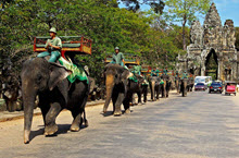 Cambodia - Bird Watching Siem Reap title=
